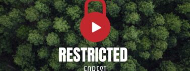 Super Early Bird Ticket